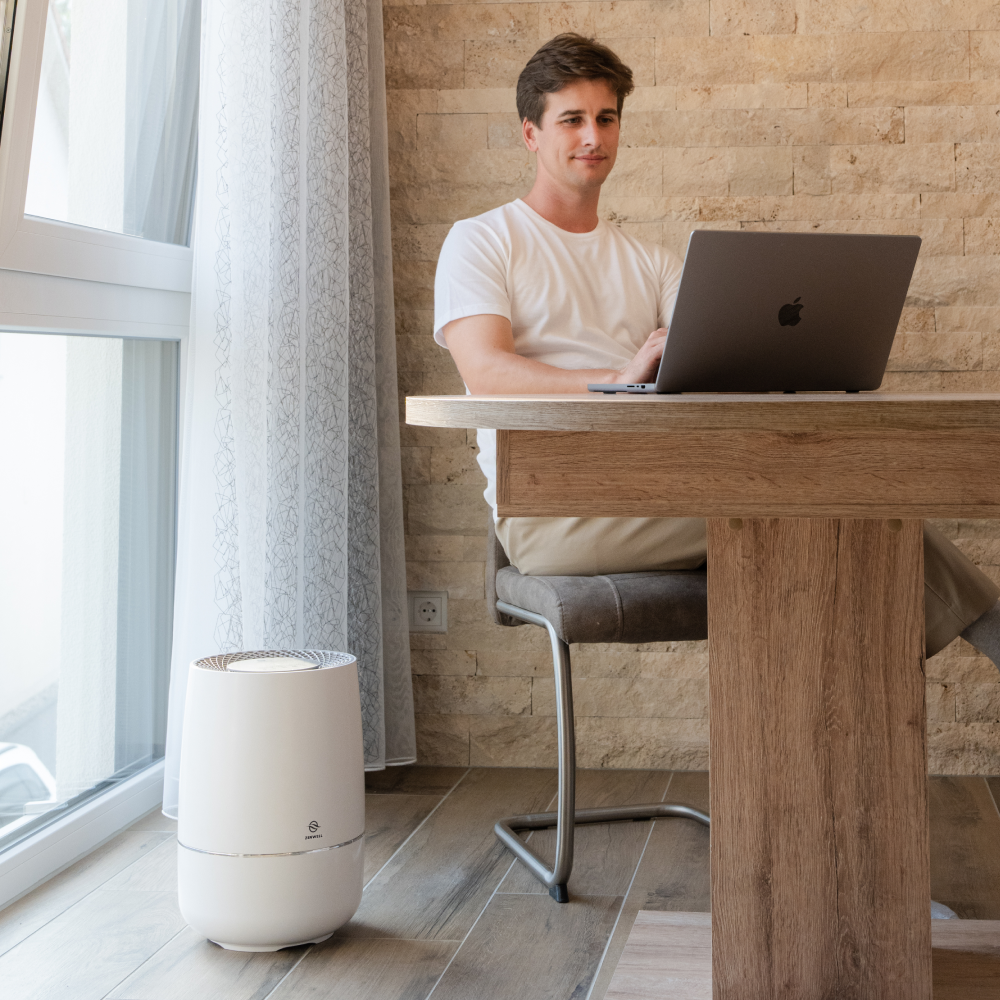 Zenwell Air Purifier and Humidifier on ground next to man at desk working on laptop