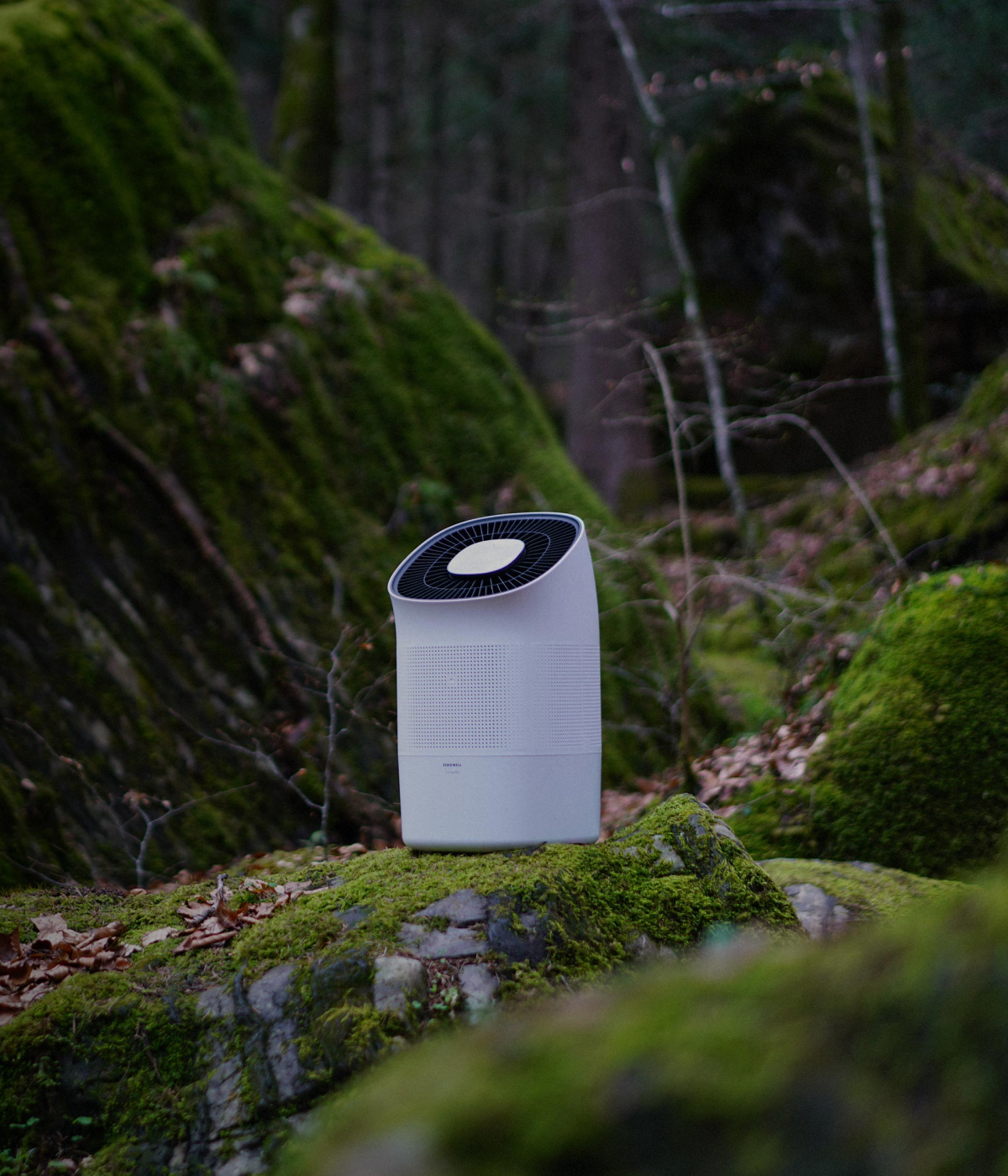 Zenwell appliance in mossy forest