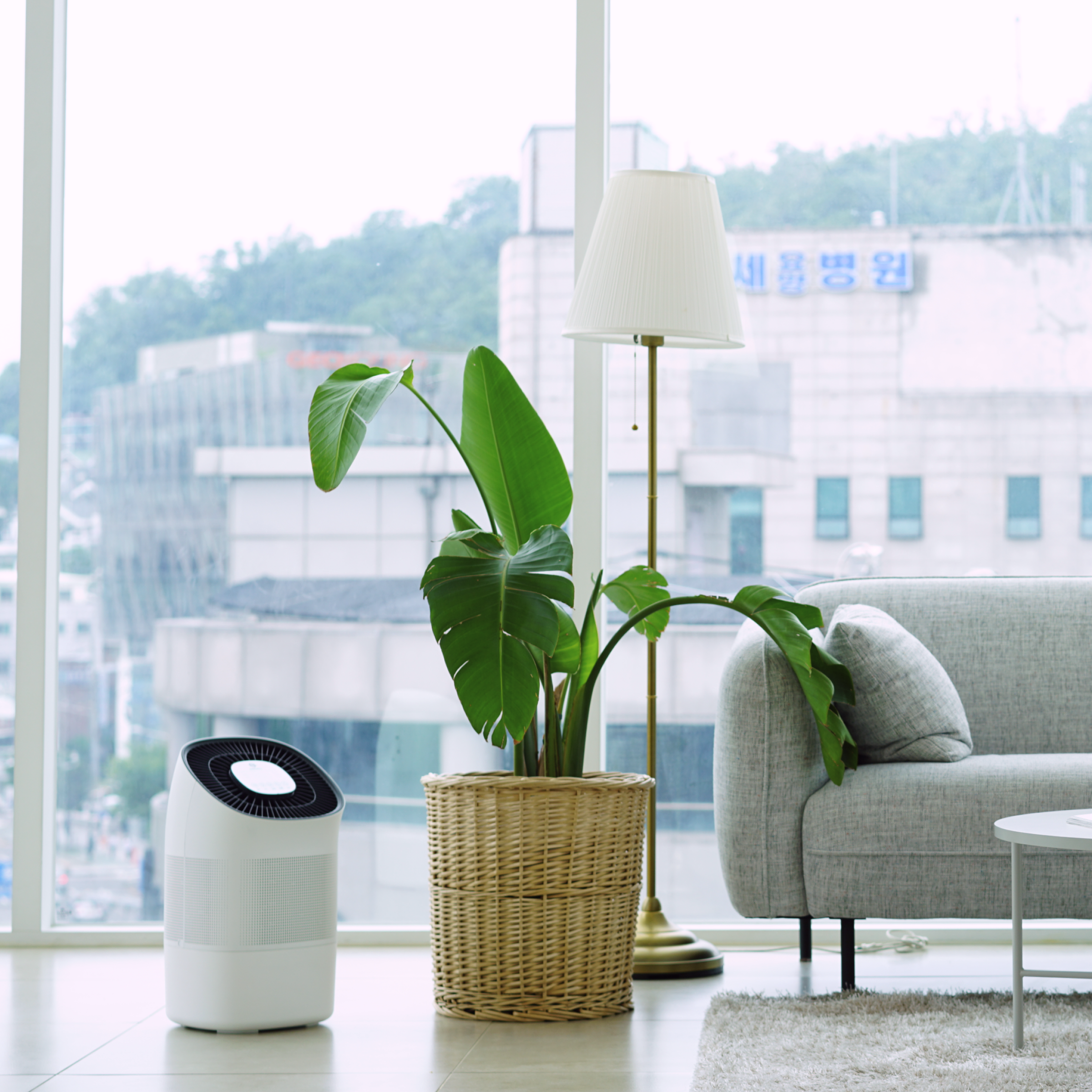 Zenwell Super Air Purifier + Humidifier Smart in urban apartment living room