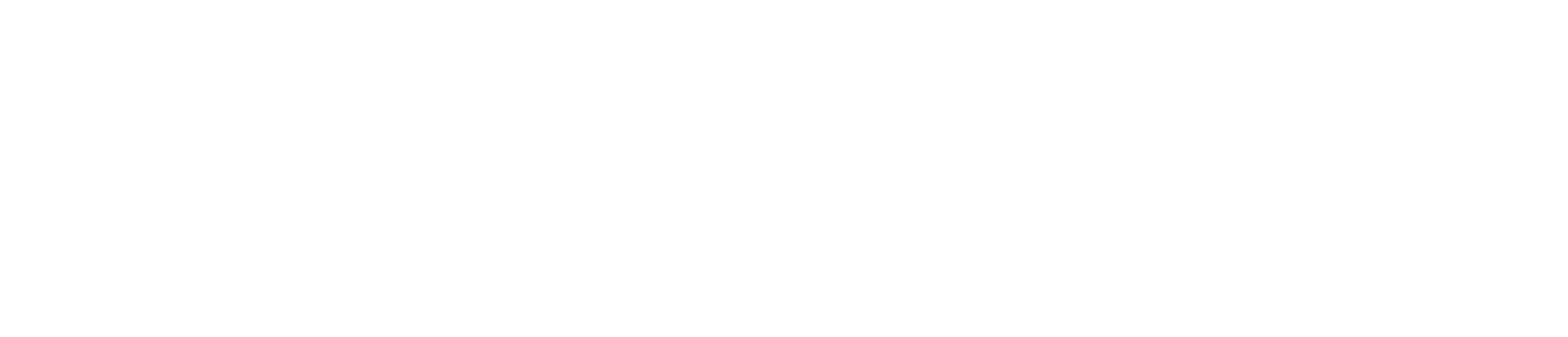Zenwell wordmark white
